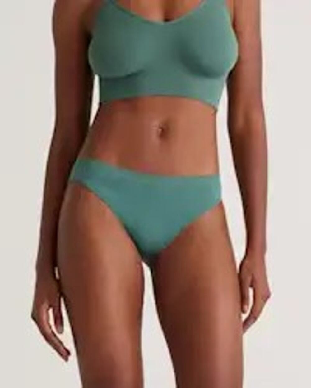 Quince Women's Smoothing Comfort Bikini Panties 3-pk Rosemary NEW ~ Size XS